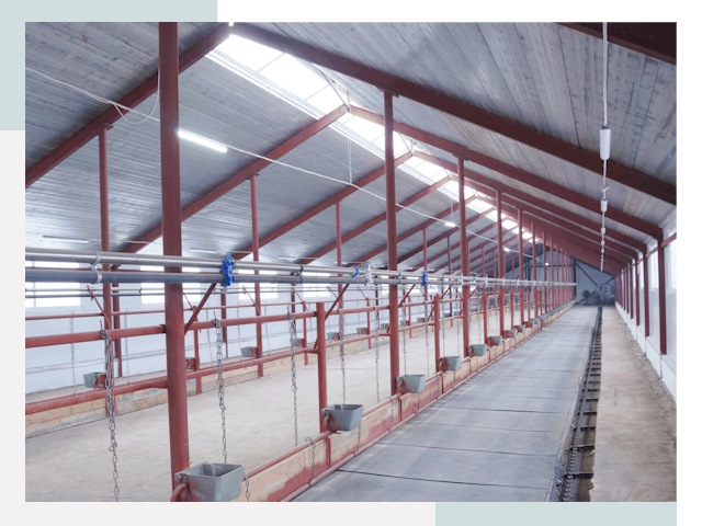 Строительство коровников в Надыме от 623 руб.