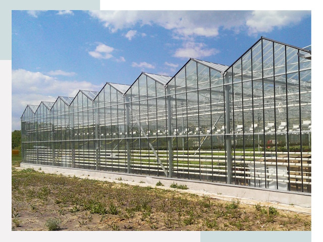 Строительство теплиц в Надым от 623 руб. за м²