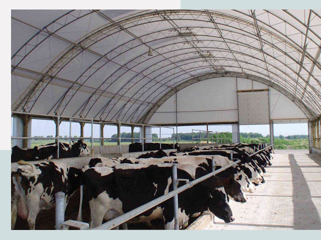 Тентовые коровники в Надыме